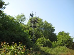 IMG_0691