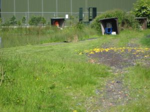 IMG_0694